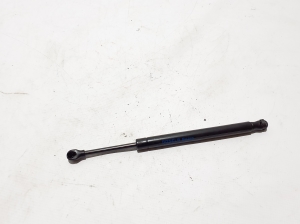 Sonstiger Stoßdämpfer - 7950119