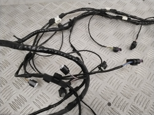 BMW 2 SERIES F45 (2014–2026) Front parking sensor wiring 9318576 - 4