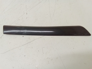 Zierleiste Kotflügel hinten - 24461114