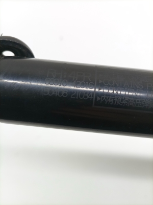 TOYOTA RAV 4 A4 (2012–2018) Heckklappendämpfer 6891042016 - 3
