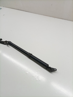 TOYOTA RAV 4 A4 (2012–2018) Heckklappendämpfer 6891042016 - 4