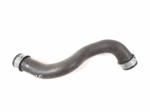 Radiator hose - A1725010682
