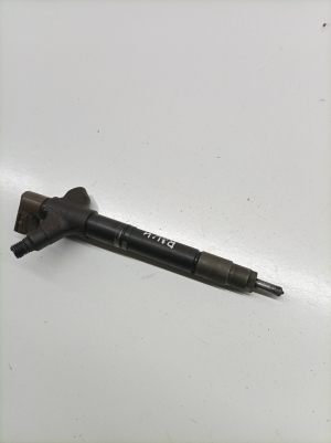   Fuel injector  - 236700R101 