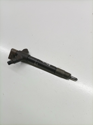   Fuel injector  - 236700R101 