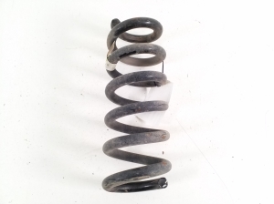 Ford Mustang Mach-E Mach-E (2020–2026) Rear spring LJ9C5560ANE - 2