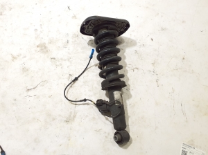   Rear shock absorber  - 6896442 