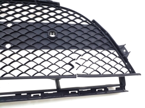  Front bumper lower grille 