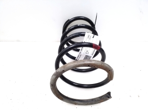 NISSAN X-Trail T30 (2001–2007) Rear spring - 2