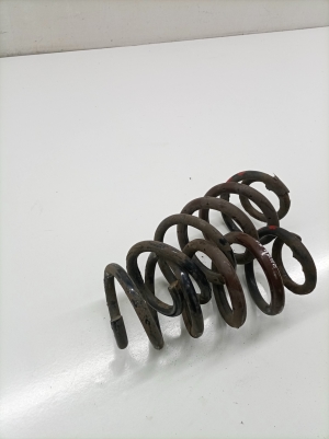 TOYOTA RAV 4 A4 (2012–2018) Rear spring 4823142420 - 2