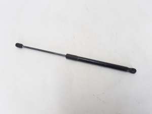 RENAULT Megane III (2008–2016) Tagaluugi amortisaator 844300009R - 2