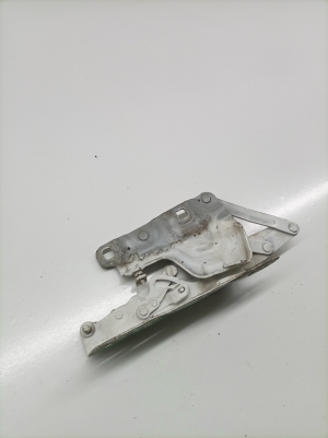   Kapoti hing  - GX7316801AE 