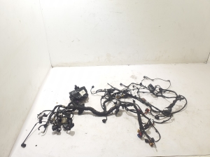 Wiring harness - 565970736
