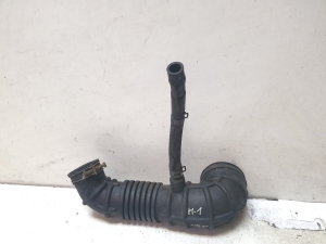 Hose - 281384A600