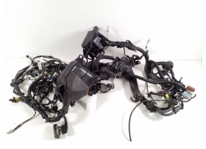   Engine wiring harness  -  