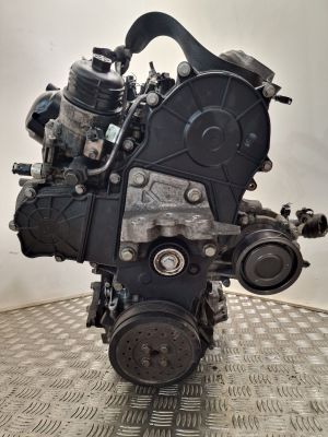 Motor - B20DTH