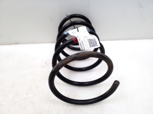 NISSAN X-Trail T30 (2001–2007) Rear spring - 2