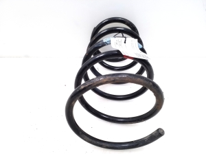 NISSAN X-Trail T30 (2001–2007) Rear spring - 2