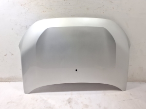   Motorhaube  - 651006052R 