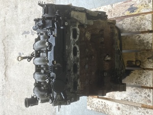 Land Rover Evoque (2011–2018) Motor 224DT - 4