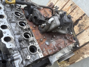 Land Rover Evoque (2011–2018) Motor 224DT - 6