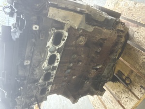 Land Rover Evoque (2011–2018) Motor 224DT - 9