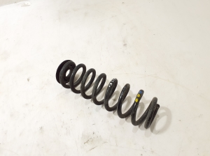 Rear spring - 550204082R