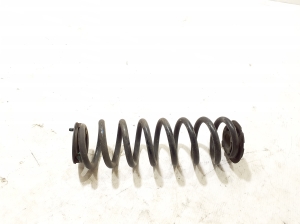 Rear spring - 550204082R