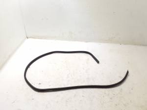   Front door rubber seal  - 808333665R 