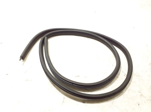 Dacia Spring (2021–2026) Türdichtung der Vordertüren 808333665R - 2