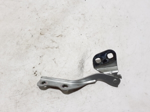 Hood hinge - 654013173R