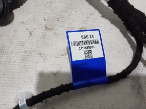 Dacia Spring (2021–2026) Kabelbaum 241258860R - 2