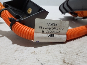 Dacia Spring (2021–2026) Akumulatora uzlādes ligzda 296950771R - 3