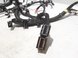 RENAULT Espace VI (2023–2026) Engine wiring harness 240113464S - 6