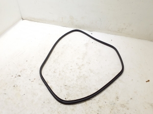   Rear side door seal on the door  - 769235326R 