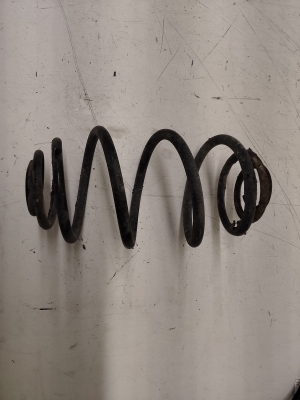 Rear spring - ASTRA
