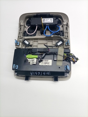 Opel Insignia (2017–2026) Eesmine sisevalgustuspaneel 39161924 - 5