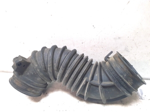 Air intake hose - 178810D100