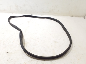   Rear side door seal on the door  - 769239167R 