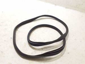 RENAULT Scenic (2016–2026) Front door rubber seal 808321134R - 2