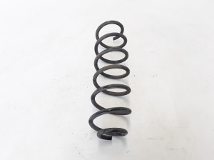 Feder hinten - 550200011R 